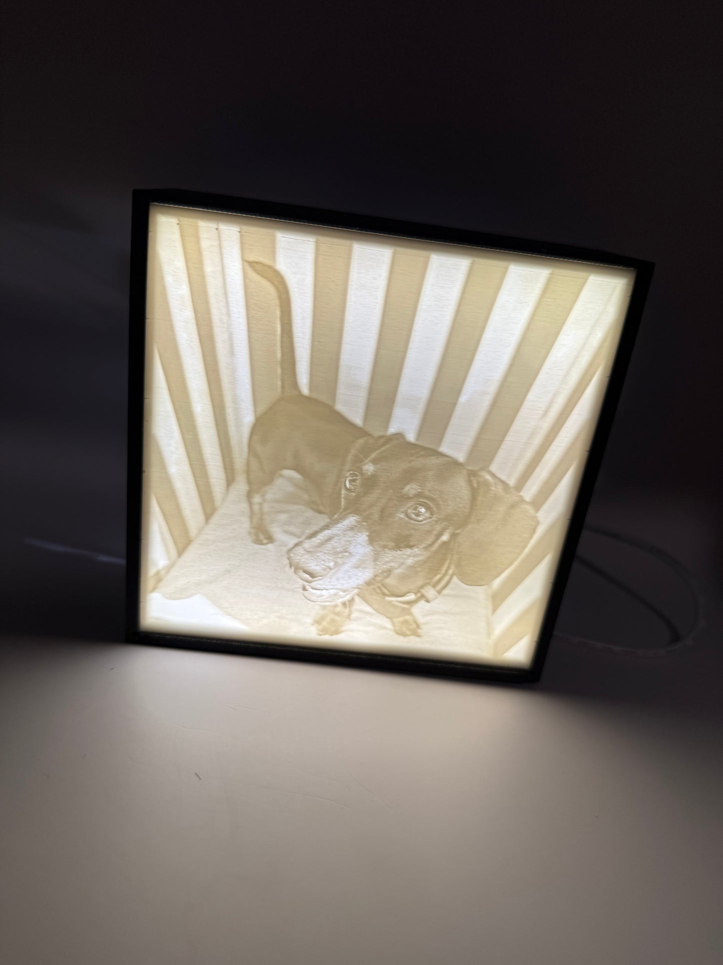 Hier sieht man eine Schwarze LED-Box mit einem Dackel als Lithophane diese wird von hinten mit einer LED beleuchtet