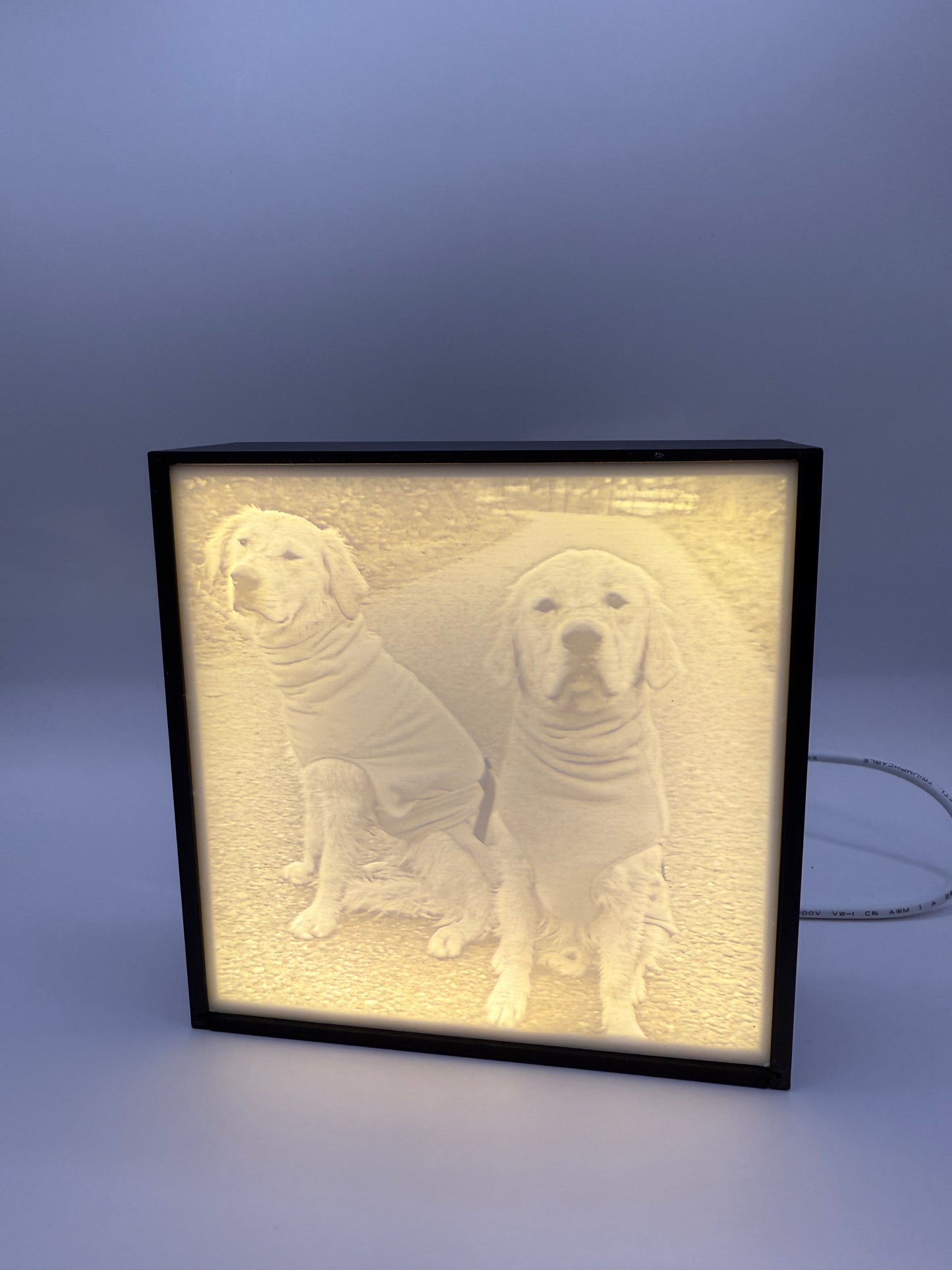 Hier sieht man das Lithophane mit zwei Goldenretriever, die gerade einen Bademantel tragen. Das Lithophane wird mit einer LED von hinten beleuchtet.