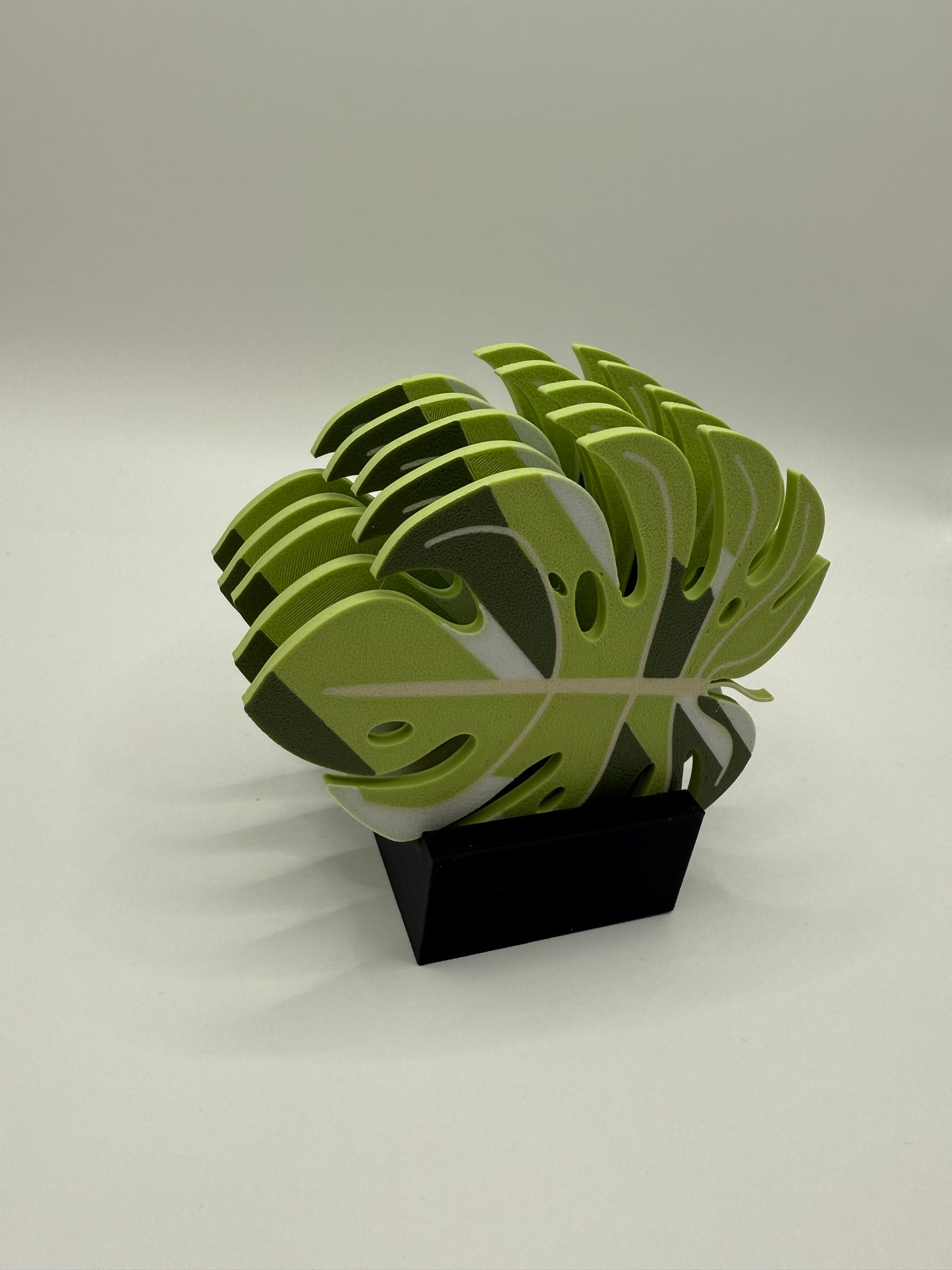 Monstera Untersetzer Tropic