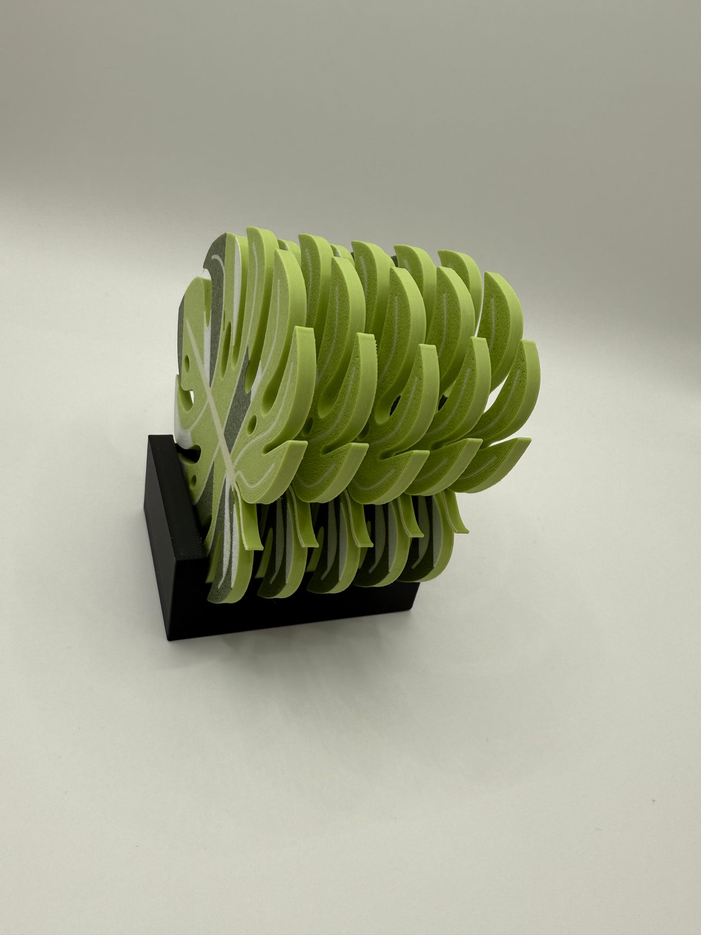 Monstera Untersetzer Tropic