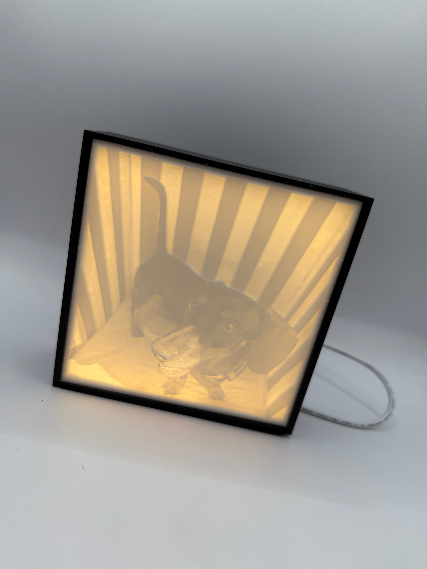 Dackel im Lithophane, die box ist Schwarz damit man das lithophane sieht, ist diese mit einer LED von innen beleuchtet. 