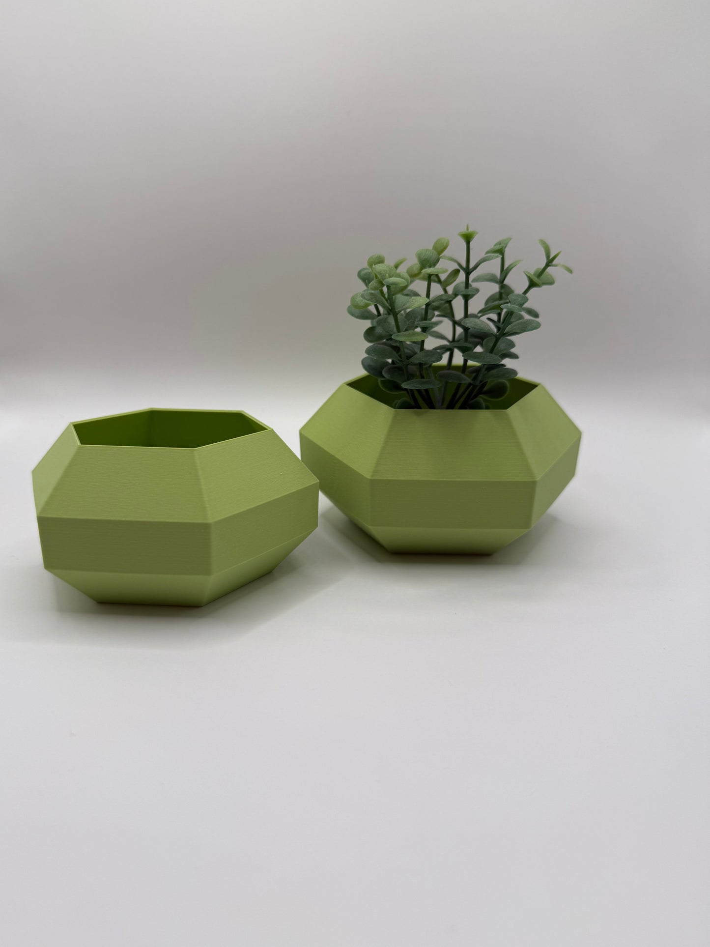 Pflanztopf Set Cactus